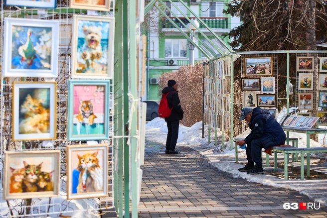 Можно прикупить кота&nbsp;— без кота и жизнь не та! | Источник: Роман Данилкин / 63.RU 