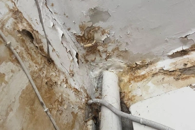 Февральская оттепель затопила квартиры волгоградцев