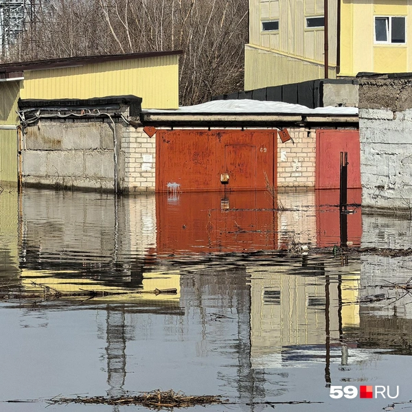 Источник: Василина Любимова / 59.RU