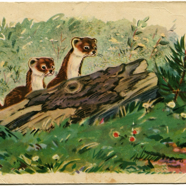 советские открытки, открытки советских лет, добрые советские открытки, советские открытки скачать, стиль советской открытки | Источник: Igor Golovnov