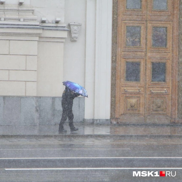 Источник: Татьяна Спиридонова / MSK1.RU