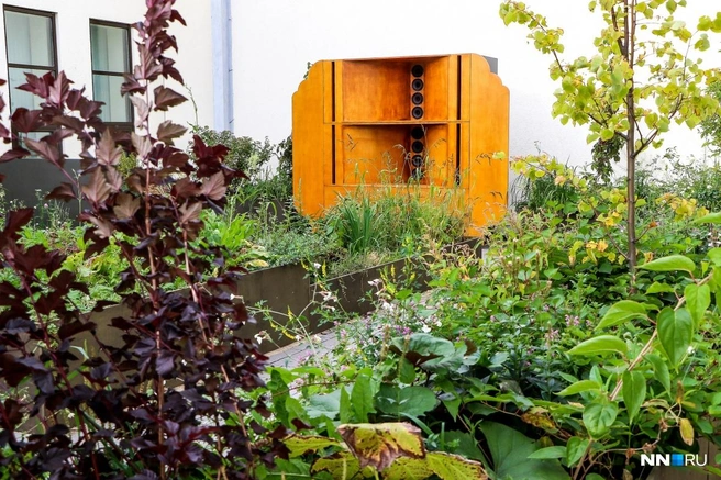 Сад имени — место, где любой нижегородец может поразмышлять о жизни и смерти