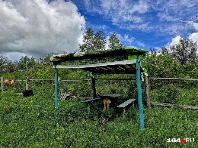 Здесь можно посидеть и вспомнить питомца | Источник: Виктория Федорова / 164.RU