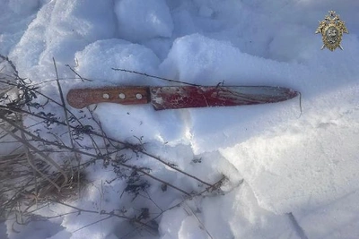 Подросток в Приамурье пойдет под суд за разбой и убийство