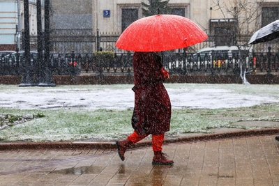 Погода в Туле с 20 апреля: неделя дождей