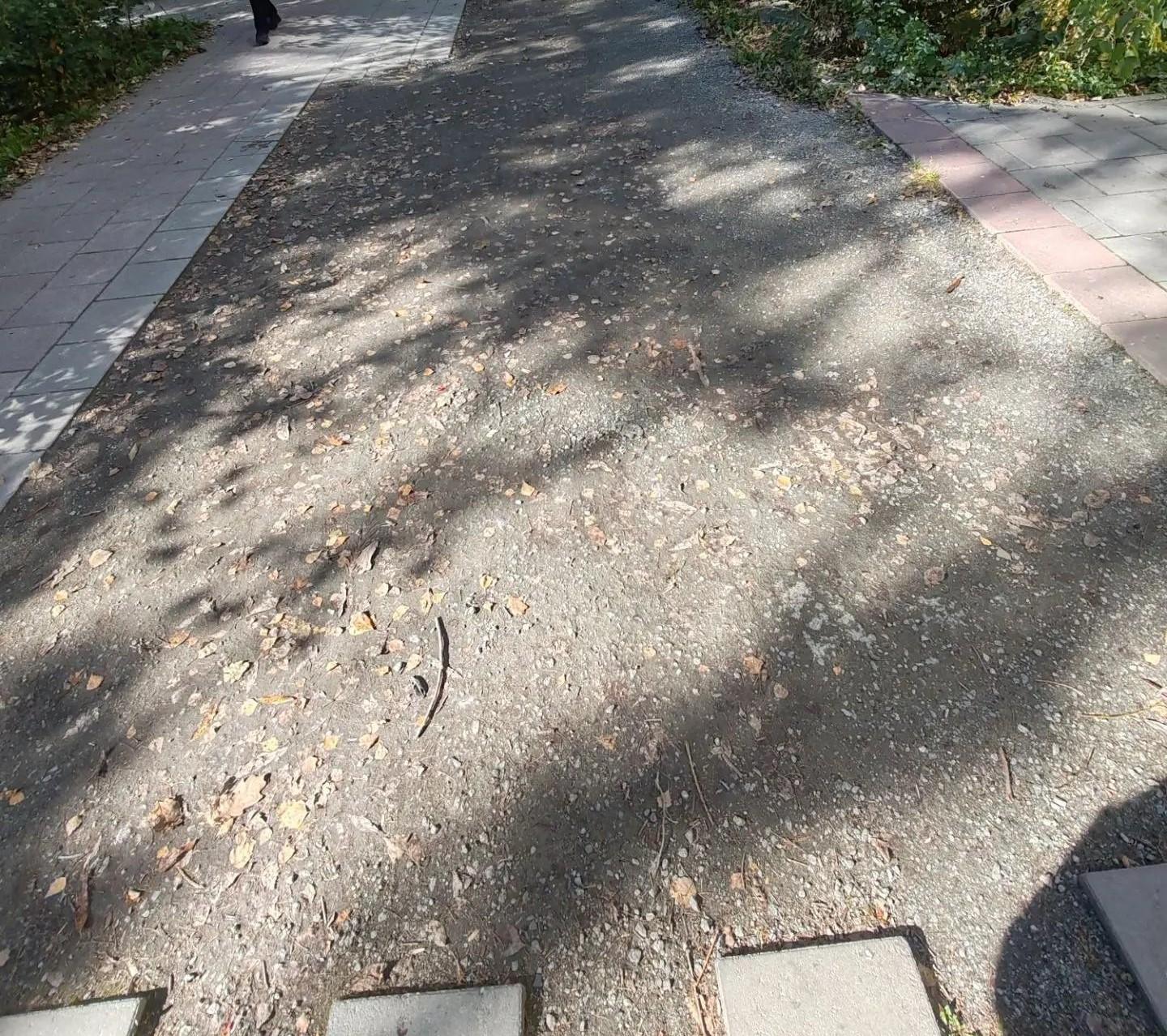 На Комсомольском проспекте с зимы не могут восстановить плитку