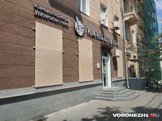 Источник: Дмитрий Волгин / Voronezh1.ru