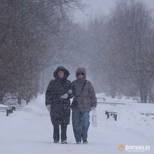 Источник: Сергей Николаев / FONTANKA.RU