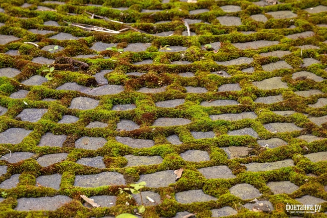 Эх, нам бы такую брусчатку, как в Петербурге! | Источник: Михаил Огнев / FONTANKA.RU