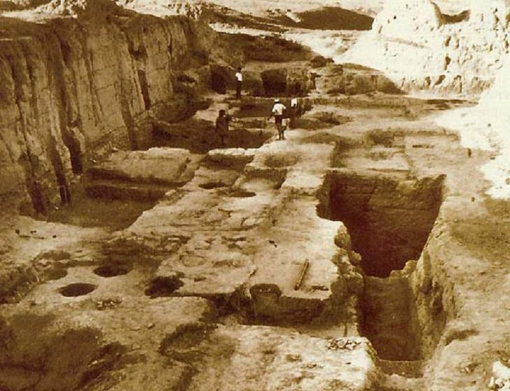 Дворцы, сокрытые пылью: репортаж о раскопках Афрасиаба в Самарканде