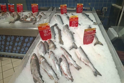 Central Bank reports 2025 inflation slowdown, price hikes in Voronezh region