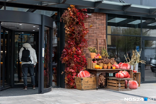 Так и хочется обновить аватарку в этих тыквах | Источник: Мария Ленц / NGS24.RU