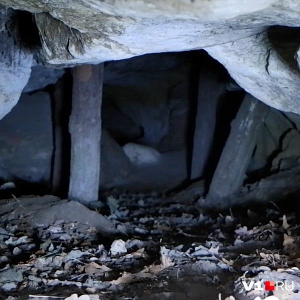 Источник: Илья Воробушкин / V1.RU