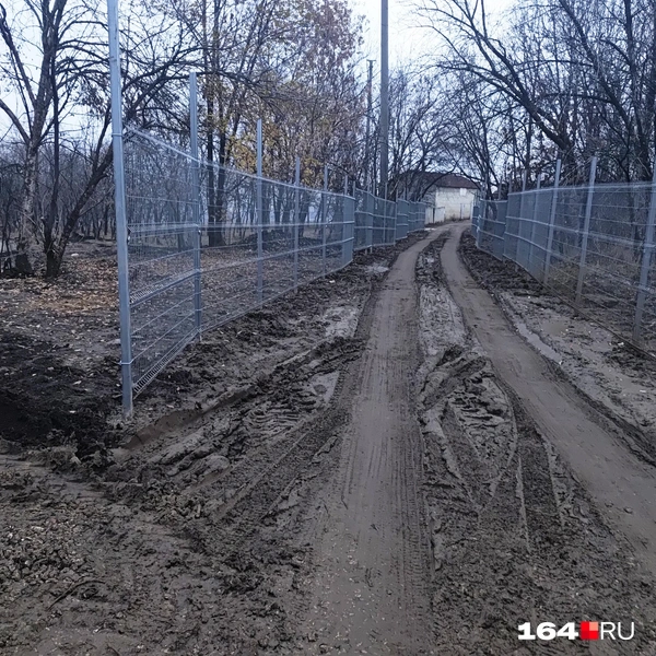 Источник: Сергей Гендин / 164.RU