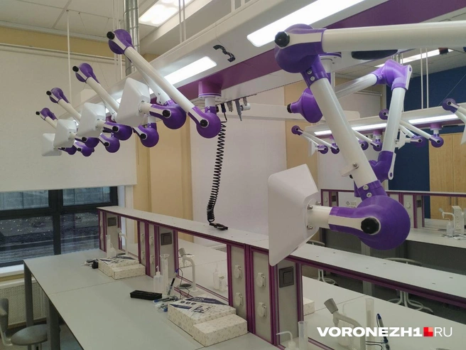 Источник: Дмитрий Волгин / Voronezh1.ru