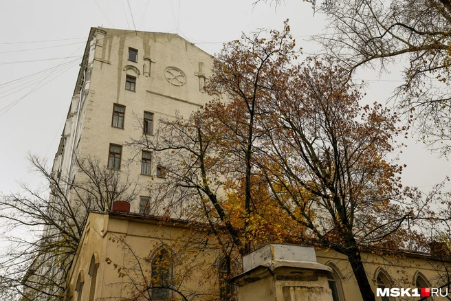 Цвета природы подстраиваются под блеклые здания столицы | Источник: Артем Устюжанин / MSK1.RU