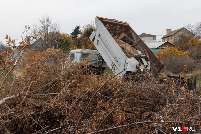 По заверениям общественников, строительные отходы сбрасываются в овраг третий день подряд | Источник: Алексей Волхонский / V1.RU