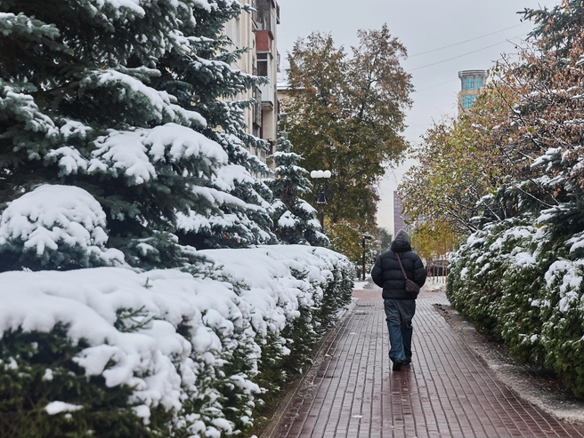 Жители уже утеплились и начали носить зимние куртки. | nsk54.online