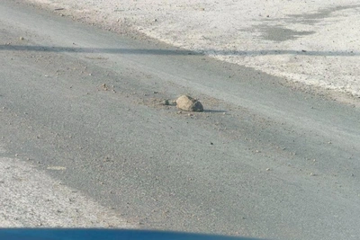 Chita City Hall explains 'stones' on roads after gritting