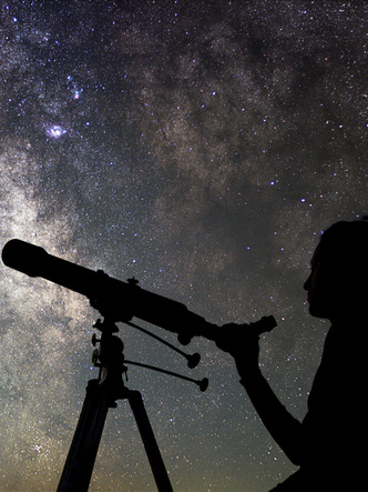 Цветочная астрология: какие букеты стоит дарить разным знакам Зодиака? (фото 2)