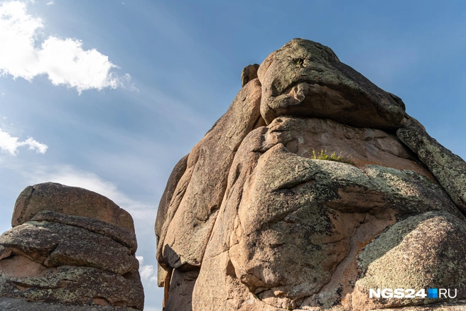Узнайте больше фактов о «Красноярских Столбах» | Источник: Мария Ленц / NGS24.RU 
