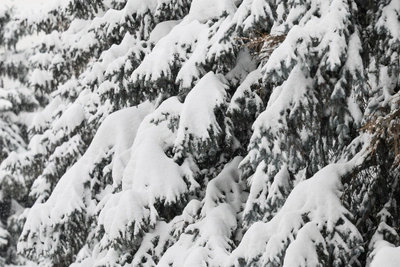 В Мурманской области ожидается потепление