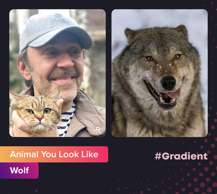 На какое животное ты похож: новое развлечение от приложения Gradient