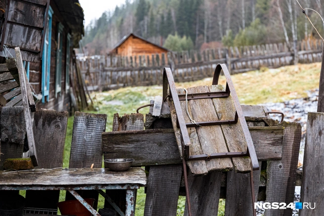 Смотрятся органично | Источник: Мария Ленц / NGS24.RU