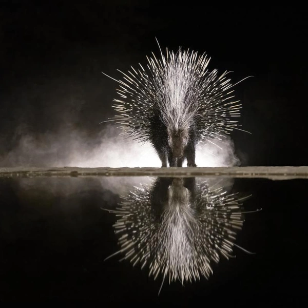 Источник: Marcello Galleano / Fine Art Photography Awards 2025