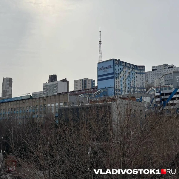 Источник: Елена Буйвол / VLADIVOSTOK1.RU