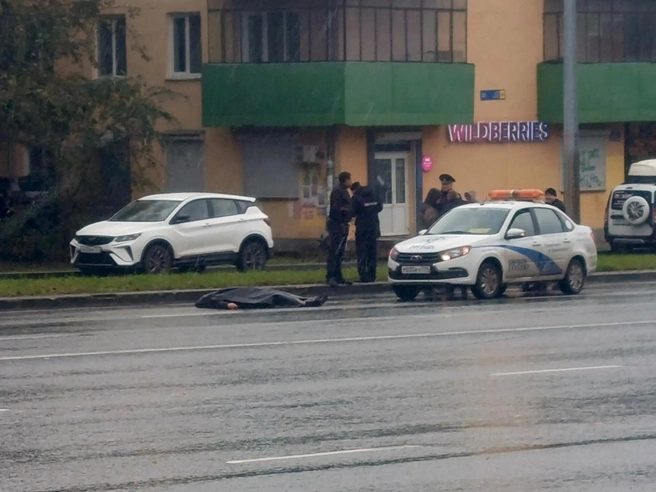 Убийство произошло накануне около 10 утра на улице Первой Пятилетки | Источник: читатель 74.RU