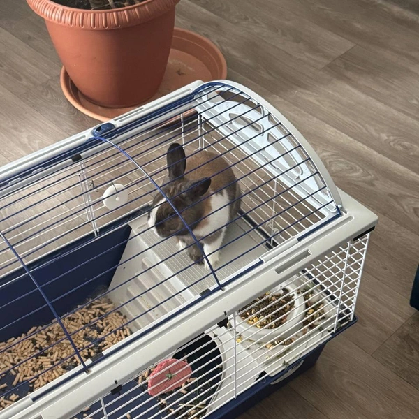 Источник: Оксана Маклакова