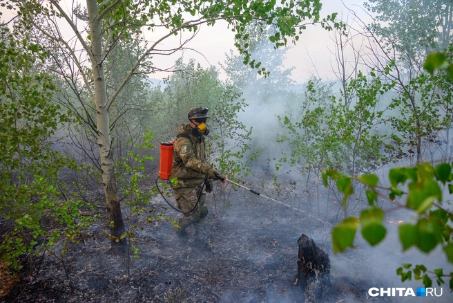 Боролись с пожарами в Забайкалье в этом году с помощью добровольцев | Источник: Олег Фёдоров / CHITA.RU