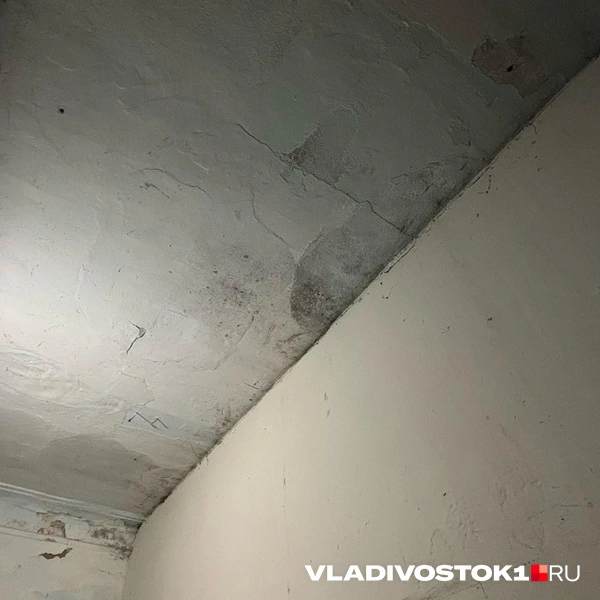 Источник: Елена Буйвол / VLADIVOSTOK1.RU