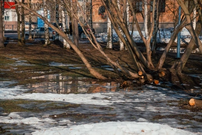 Храмцов баллотируется, зимники закрыты, инфляция в Югре