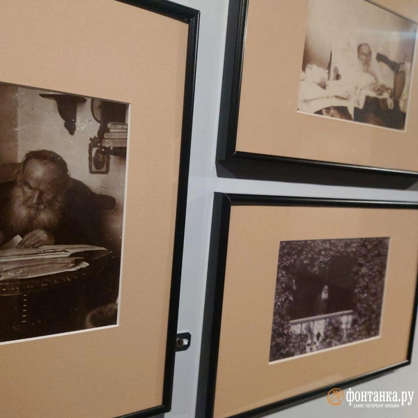 Источник: Анастасия Семенович / FONTANKA.RU