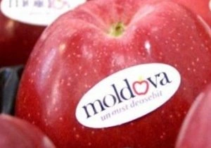 Россельхознадзор разрешил Молдавии ввозить фрукты | ya62.ru