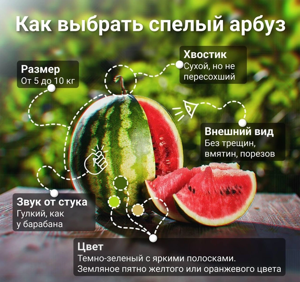 Подсказка, как выбрать спелый арбуз  | Источник: Городские медиа 