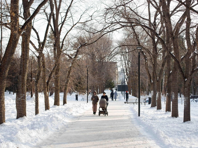 Гирлянды создают праздничную атмосферу даже в дневное время | Источник: Андрей Бортко/NGS.RU