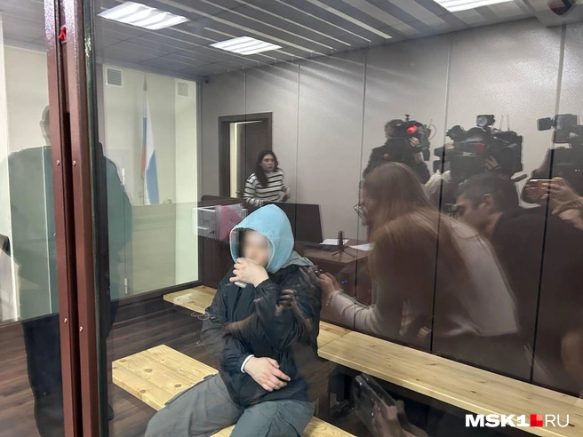 Суд в Подмосковье арестовал мать, которая зарезала своего ребенка и утопила его голову в пруду | Источник: Римма Багдасарян / MSK1.RU