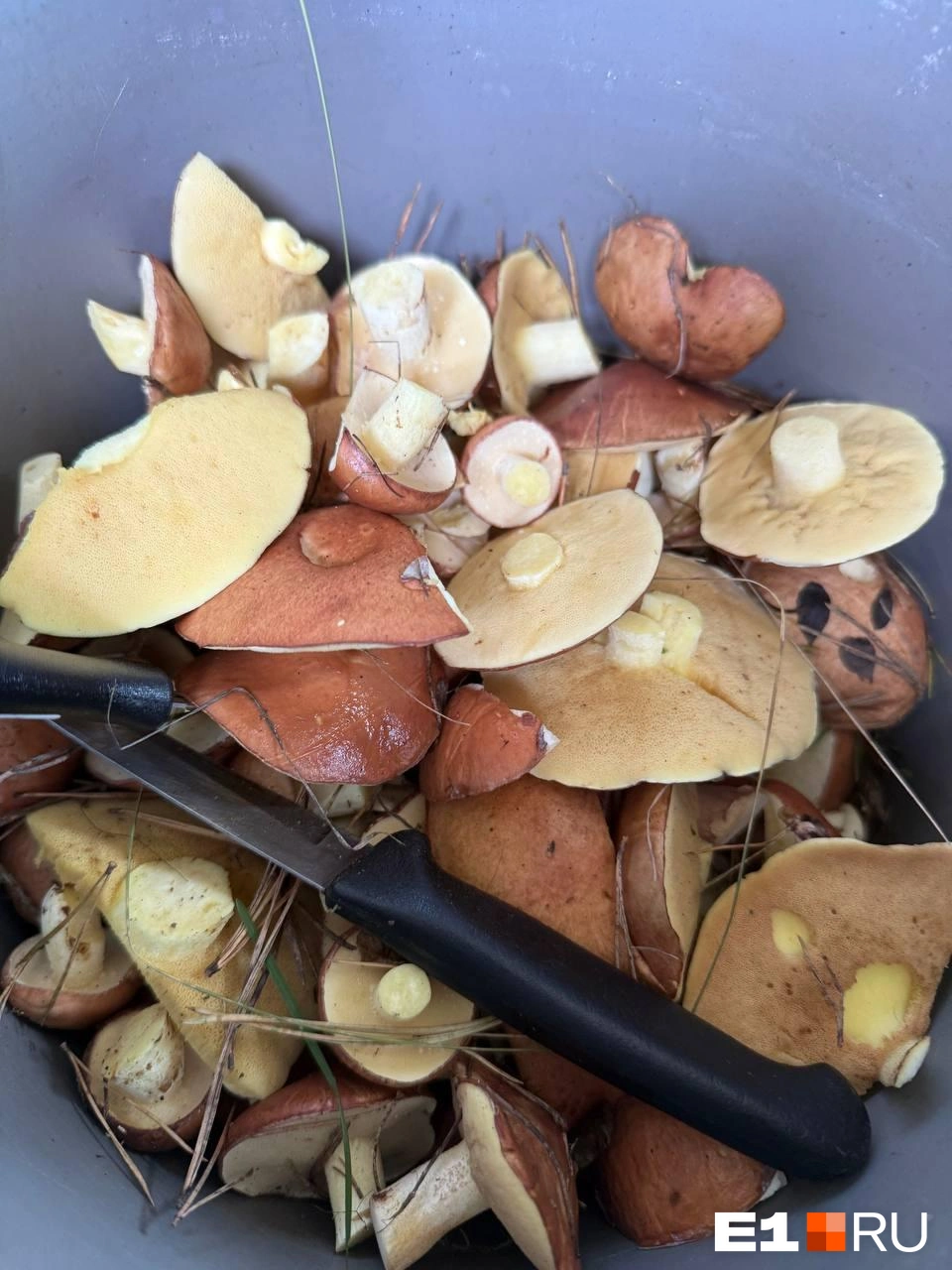 Источник: читательница E1.RU Светлана