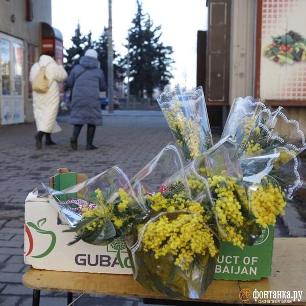 Источник: Валентин Егоршин / «Фонтанка.ру»