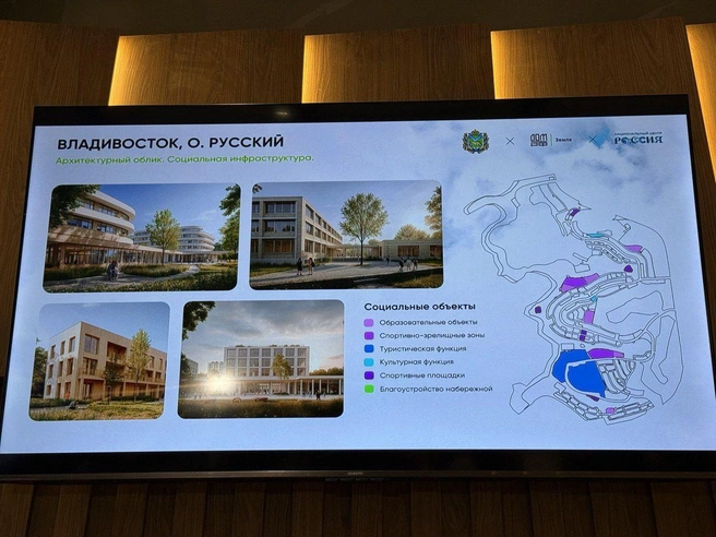 Источник: «ШЕСТАКОВ ОНЛАЙН» / T.me