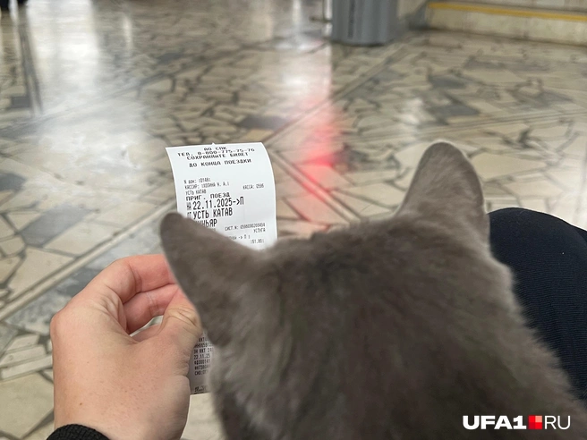Теперь на вокзале живёт кошка | Источник: Андрей Бирюков / UFA1.RU