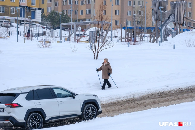 Гордой походкой да с палками | Источник: Булат Салихов / UFA1.RU