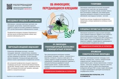 Эпидситуация по клещевым инфекциям в Ивановской области