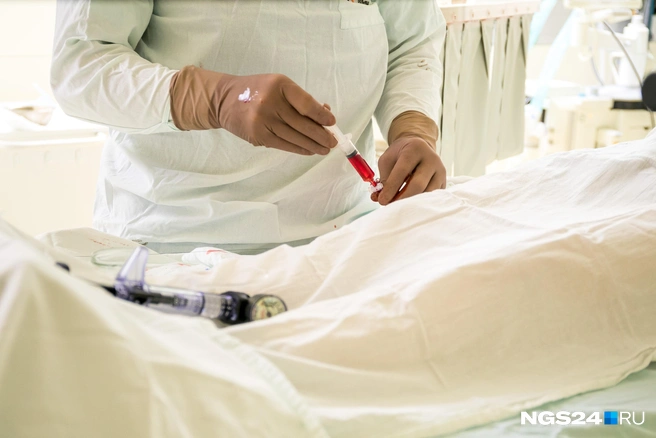 Кто именно допустил ошибку — будут разбираться | Источник: Артем Ленц / NGS24.RU