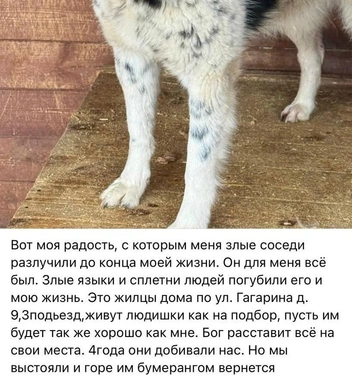 Злые соседи во всём виноваты | Источник: Элен Поленц-Макаренко / Vk.com