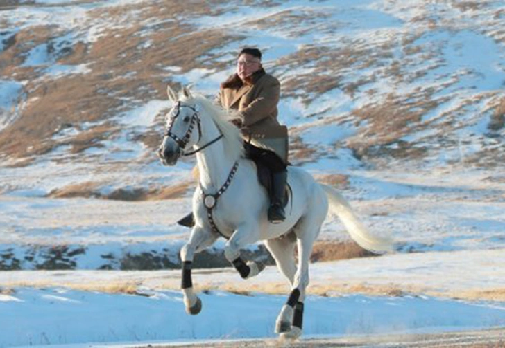 Ким Чен Ын заехал на коне на священную гору, и эти фотографии обещают стать молниеносным мемом