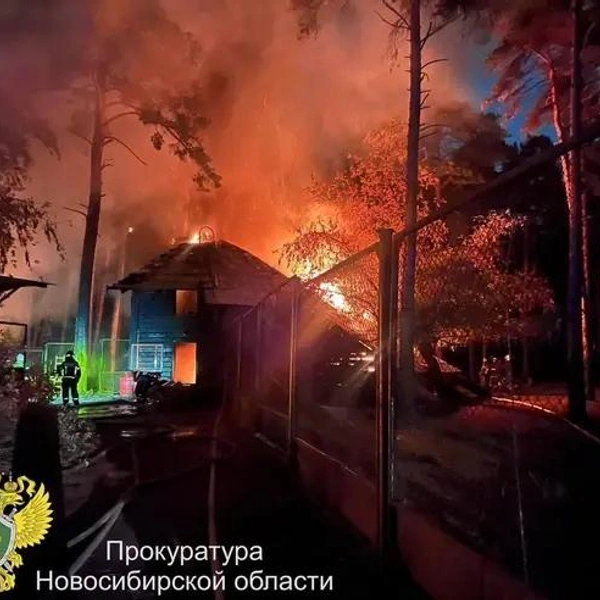 Источник: прокуратура Новосибирской области